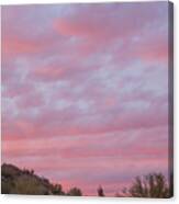 Pink Sky Desert Sunset Canvas Print