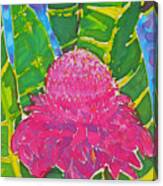 Pink Torch Ginger Canvas Print