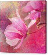 Pink Tulip Magnolia In Spring Canvas Print