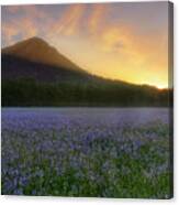 Pinnacle Mountain Sunrise - Arkansas - State Park Canvas Print