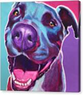 Pit Bull - Candy Canvas Print