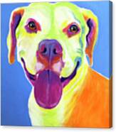 Pit Bull - Daisy Canvas Print