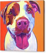 Pit Bull - Gemma Canvas Print