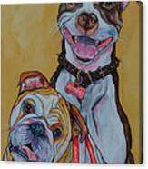 Pitbull And Bulldog Canvas Print