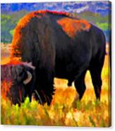 Plains Buffalo Canvas Print