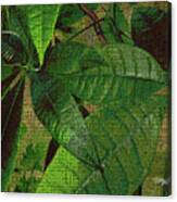 Plant Design #094 Canvas Print