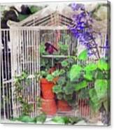 Plants In The Bird Cage Canvas Print