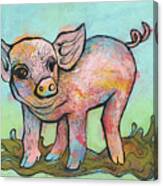 Playful Piglet Canvas Print