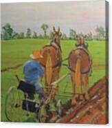 Plowing Match Canvas Print