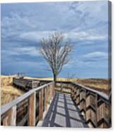 Plum Island Walkway Canvas Print