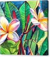 Plumeria Garden Canvas Print