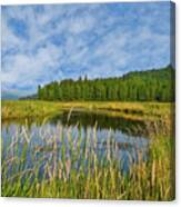 Plummer Creek Marsh Canvas Print