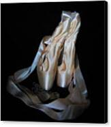 Pointe Shoes And Dog Tags1 Canvas Print