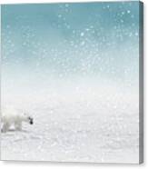 Polar Bear In Snow Canvas Print