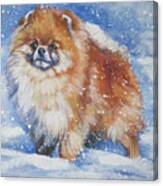 Pomeranian In The Snow Canvas Print