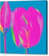 Pop Spring Tulips Canvas Print