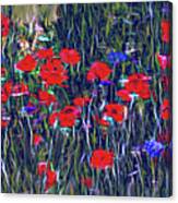 Poppies And Bachelor Buttons Canvas Print