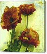 Poppies Ii Canvas Print