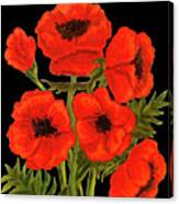 Poppies On Black, Painting Canvas Print