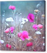 Poppy Garden Canvas Print