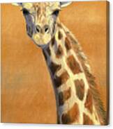 Portrait Of A Giraffe Canvas Print