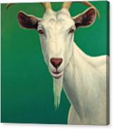 Portrait Of A Goat Canvas Print