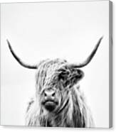 Portrait Of A Highland Cow - Vertical Orientation Canvas Print