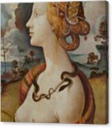 Portrait Of A Woman Called Simonetta Vespucci Canvas Print