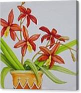 Potted Red Orchids Canvas Print