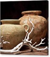 Pottery With Branch I Canvas Print