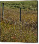Prairie Autumn Canvas Print