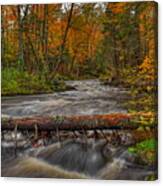 Prairie River Tree Crossing Canvas Print