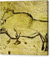 Prehistoric Bison 1- La Covaciella Canvas Print