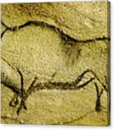 Prehistoric Bison 2 - La Covaciella Canvas Print