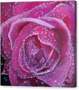 Pretty In Pink Canvas Print