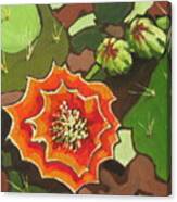 Prickly Pear Bloom Canvas Print