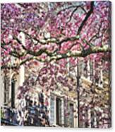 Princeton University Springtime Celebration Canvas Print