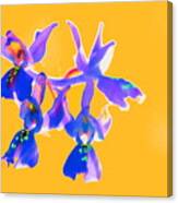 Orange Provence Orchid Canvas Print