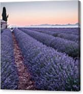 Provence Canvas Print