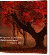 Proverbs 11 30 Scripture And Picture Canvas Print