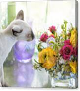 Pua Canvas Print