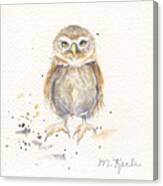 Puck - Little Owl Canvas Print