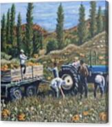 Pumpkin Gatherers In Provence Canvas Print