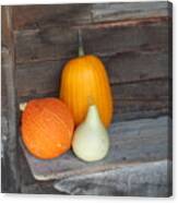 Pumpkin On A Bench Canvas Print