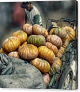 Pumpkins In The Cart Canvas Print