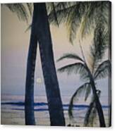 Punta Cana Moon Canvas Print