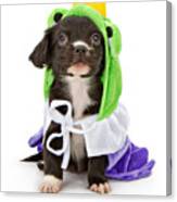Puppy Frog Prince Canvas Print