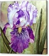 Purple Beauty Canvas Print