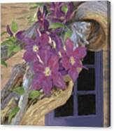 Purple Clematis Canvas Print