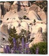 Purple Flowers At Tent Rock Canyon Canvas Print